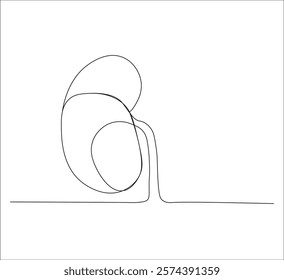 One continuous line drawing of human kidney organ anatomy. single line drawing of kidney. editable stroke
