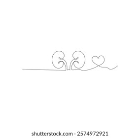 One continuous line drawing of the human kidney organ. White background, vector illustration