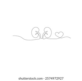 One continuous line drawing of the human kidney organ. White background, vector illustration