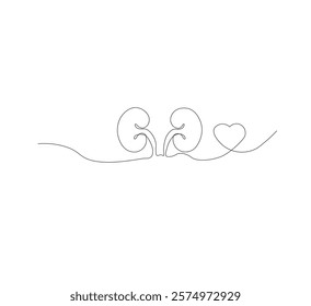 One continuous line drawing of the human kidney organ. White background, vector illustration