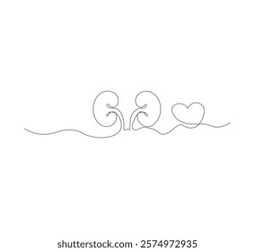 One continuous line drawing of the human kidney organ. White background, vector illustration