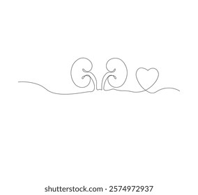 One continuous line drawing of the human kidney organ. White background, vector illustration