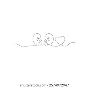 One continuous line drawing of the human kidney organ. White background, vector illustration