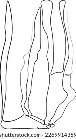 One continuous line drawing of  legs of the kissing couple. Abstract Linear Silhouette on White. 
