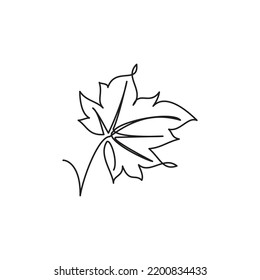 One continuous line drawing maple leaf  Vector illustration maple leaf in autumn  Simple line drawing abstract tropic spring isolated vector object white background  Maple leaf line art  