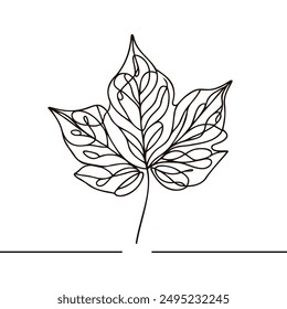 One continuous line drawing of maple leaf. Maple leaf line art in autumn. Contour drawing. Minimalist art. Modern decor. Vector illustration of maple leaf in autumn.