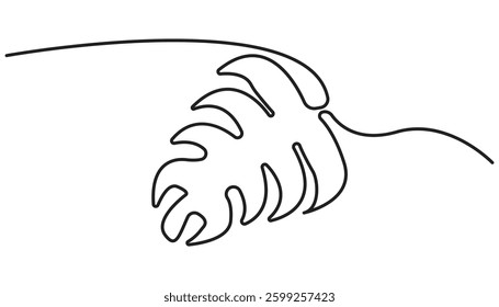 One continuous line drawing monstera leaf vector illustration. Tropical leaf monoline design vector
