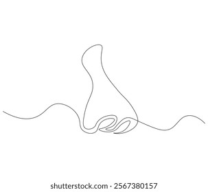 One continuous line drawing of nose . Single line of nose vector illustration