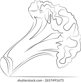 Um desenho de linha contínua sobre fundo branco isolado. Minimalismo ilustração linear. vegetal, brócolis, alimento, ingrediente, frescura, orgânico, nutrição, vegetariano, branco