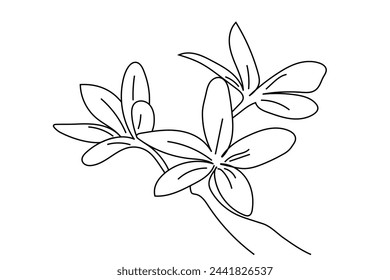 One continuous line drawing of Plumeria flower. Frangipani blossom with petals for floral tattoo in simple linear style. Plant pattern for wedding in Editable stroke. Outline vector illustration