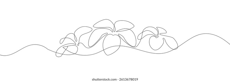 One continuous line drawing of Plumeria flower. Frangipani blossom with petals for floral tattoo in simple linear style. Plant pattern for wedding in Editable stroke. vector illustration. EPS 10 .
