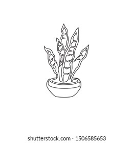 One continuous line drawing of potted snake plant for home decor logo identity. Fresh evergreen perennial plant concept for  plant icon. Modern single line draw design vector graphic illustration