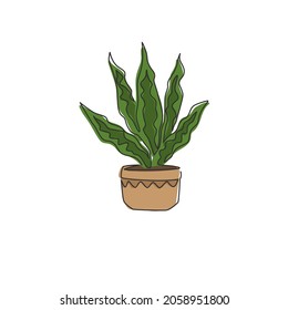 One continuous line drawing of potted snake plant for home decor logo identity. Fresh evergreen perennial plant concept for plant icon. Modern single graphic line draw design vector illustration