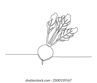 One continuous line drawing radish vegetable -  raphanus sativus. radish single line illustration.