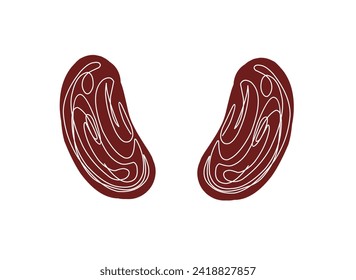 one continuous line drawing of red beans or Phaseolus vulgaris