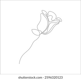 One continuous line drawing of a red rose flower.white background, Rose flower outline vector illustration,vector illustration