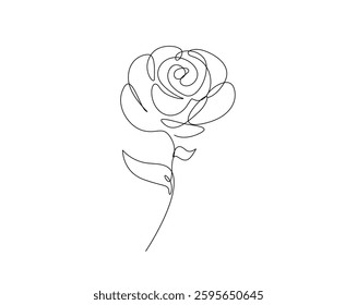 One continuous line drawing of rose flower illustration. Rose blossom monoline design. Nature concept.