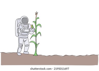 One continuous line drawing of spaceman picking sweet corn from plant in moon surface. Deep space farming astronaut concept. Dynamic single line draw graphic design vector illustration