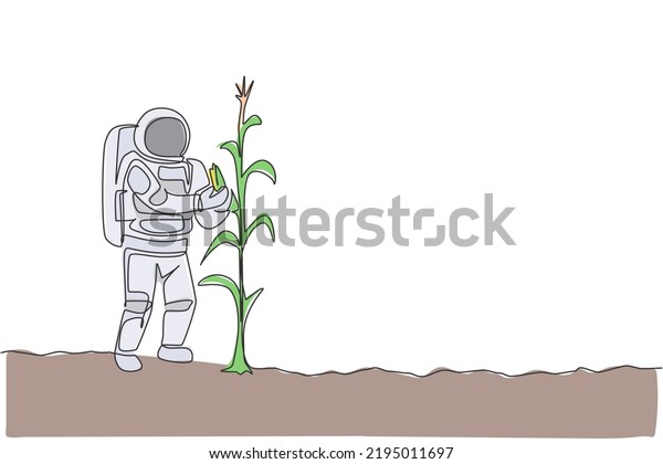 One\
continuous line drawing of spaceman picking sweet corn from plant\
in moon surface. Deep space farming astronaut concept. Dynamic\
single line draw graphic design vector\
illustration