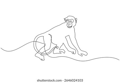 One continuous line drawing of Spider Monkey vector illustration, Elegant galada monkey illustration in continuous line drawing. Monkey single line art vector illustration. Editable vector