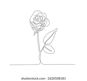 One continuous line drawing of a spring of roses. single line of rose template illustration. editable stroke 