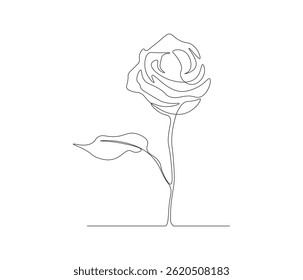 One continuous line drawing of a spring of roses. single line of rose template illustration. editable stroke 