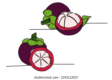 One continuous line drawing of sweet tropical mangosteen fruits. Simple flat color hand drawn style vector illustration for natural and healthy living concept