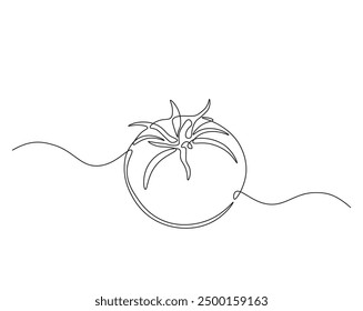 One continuous line drawing Tomato vegetable. Tomato single line illustration.