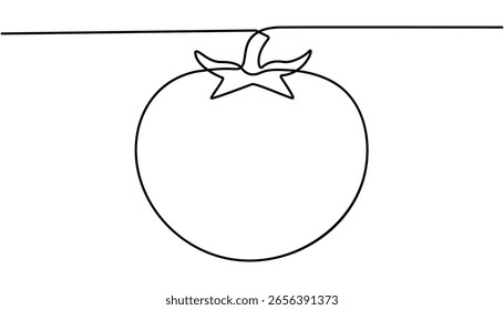 One continuous line drawing Tomato vegetable. tomato continuous one line drawing, Abstract red shaped tomato. Tomato continuous one line drawing. Hand drawn vector illustration.