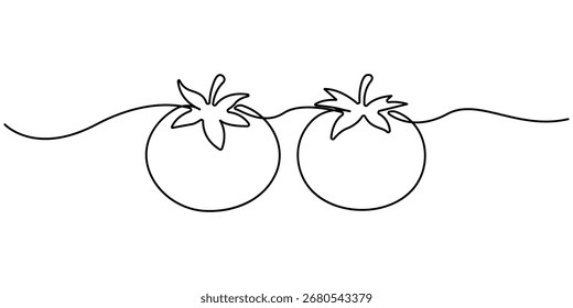 One continuous line drawing Tomato vegetable. Continuous one single minimal line drawing tomato, one line, editable vector outline. Tomato single line illustration. Editable stroke