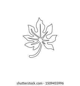One continuous line drawing of tropical papaya leaf plant. Printable poster decorative houseplant concept for home wall decor ornament. Modern single line graphic draw design vector illustration
