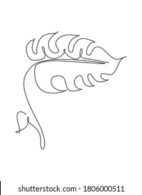 One continuous line drawing tropical monstera leaf. Minimal natural eco beauty spa salon concept. Home wall decor, poster, tote bag, fabric print. Single line draw design graphic vector illustration
