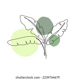 One continuous line drawing tropical banana leaf. Organic minimal natural eco concept spa salon. Home wall decor, poster, tote bag, fabric print. Single line draw design graphic vector illustration