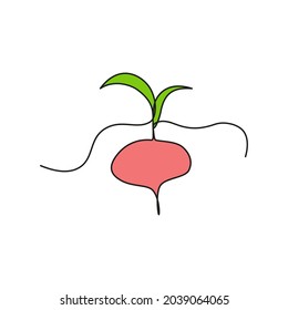 One continuous line drawing vegetables beet, isolated on white background. Healthy eating concept. Vector illustration.