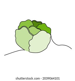One continuous line drawing vegetables cabbage, isolated on white background. Healthy eating concept. Vector illustration.
