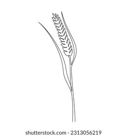 One continuous line drawing of wheat grain ear. Single line drawing of ripe ear. Linear sketch of grain of wheat, rice, oat ear. Silhouette of wheat. Modern design element for agriculture logo