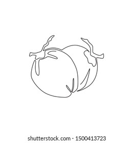 One continuous line drawing of whole healthy organic coconut for orchard logo identity. Fresh fruitage concept for fruit garden icon. Modern single line draw design vector graphic illustration