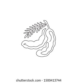 One continuous line drawing of whole healthy organic tamarind for orchard logo identity. Fresh fruitage concept for fruit garden icon. Modern single line draw design graphic vector illustration