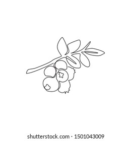 One continuous line drawing of whole healthy organic blueberries for orchard logo identity. Fresh blue berry fruitage concept for fruit garden icon. Modern single line draw design vector illustration
