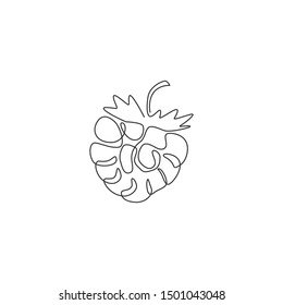 One continuous line drawing of whole healthy organic raspberry for orchard logo identity. Fresh berry fruitage concept for fruit garden icon. Modern single line draw design vector graphic illustration