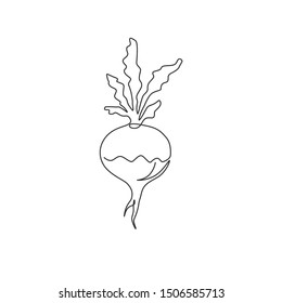 One continuous line drawing of whole healthy organic white turnip for farm logo identity. Fresh plant concept for root vegetable icon. Modern single line draw design graphic vector illustration