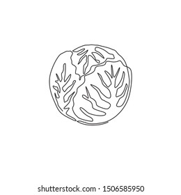 One continuous line drawing of whole healthy organic headed cabbage for farm logo identity. Fresh biennial plant concept for vegetable icon. Modern single line draw design vector graphic illustration