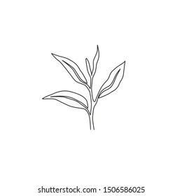 One continuous line drawing of whole healthy organic tea leaf for herbal drink logo identity. Fresh nature concept for tea plantation icon. Modern single line draw design vector graphic illustration