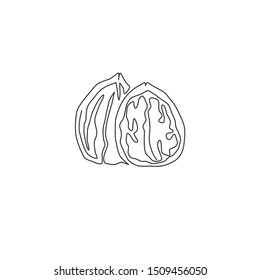 One continuous line drawing of whole healthy organic walnut food for plantation logo identity. Fresh nutshell concept for healthy seed icon. Modern single line draw design graphic vector illustration