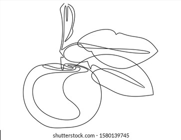 One continuous line drawing of whole healthy organic apple for orchard logo identity. 