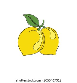 One continuous line drawing of whole healthy organic lemon for orchard logo identity. Fresh lemonade fruitage concept for fruit garden icon. Modern single line draw design vector graphic illustration