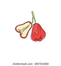 One continuous line drawing of whole healthy organic bell fruits for orchard logo identity. Fresh bellfruit concept for fruit garden icon. Modern single line draw design graphic vector illustration