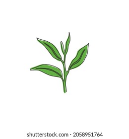 One continuous line drawing of whole healthy organic tea leaf for herbal drink logo identity. Fresh nature concept for tea plantation icon. Modern single line draw design vector graphic illustration