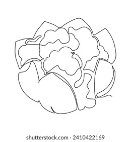 One continuous line drawing of whole healthy organic headed cabbage for farm logo identity. Fresh biennial plant concept for vegetable icon. Modern single line draw design vector graphic illustration