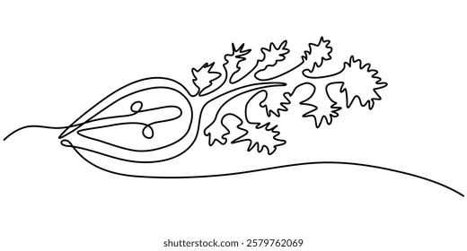 One continuous line drawing whole paprika. Fresh bell pepper concept, Capsicum continuous one line drawing, Continuous one line drawing of Sweet pepper bell pepper line art vector sketch illustration.